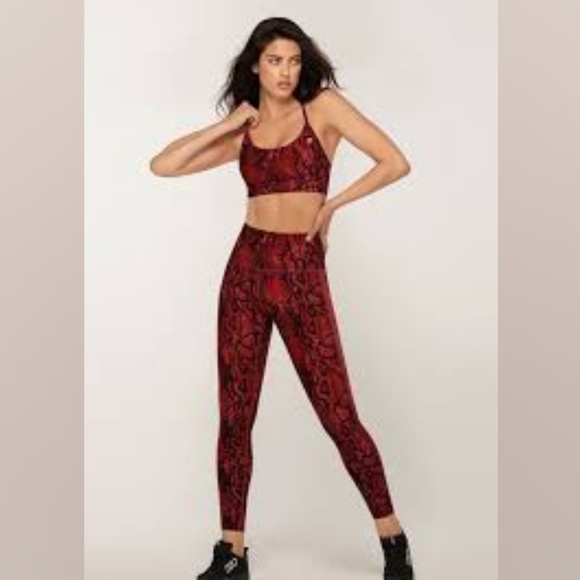 Lorna Jane Pants - Lorna Jane Cobra Core Workout Set - Medium